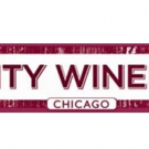 Pedro Capó, Darrell Scott and More On-Sale at City Winery Chicago Photo