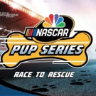 Planes, Puppies and Automobiles Help NBC Sports Surround Saturday's Monster Energy NA Photo