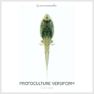 Protocultire Adapts, Evolves, & Thrives in Part One of Fifth Album VERSIFORM, Out Now Photo