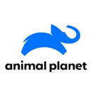 Animal Planet Presents JEREMY WADE'S DARK WATERS Photo