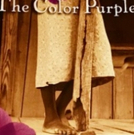 Peace Center Offers The Color Purple Lending Library; Hosts Book Discussion Video