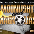 BWW Review: MOONLIGHT AND MAGNOLIAS at EAGLE THEATRE Photo