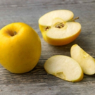 An Orchard Grows In New York City