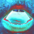 PLAYZAPALOOZA One Act Festival Announced for Santa Paula