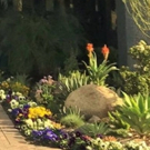 Orange County Music and Dance Joins Partnership for ARTIST OF THE YEAR AWARDS