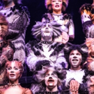 BWW Review: CATS at the Paramount - They Sing, They Dance, That's About It Photo