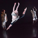 Baruch Performing Arts Center Presents Heidi Latsky Dance In The New York City Premie Photo