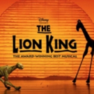 Make Your Broadway Debut in Disney's THE LION KING Photo