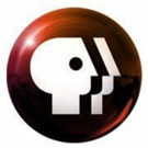 PBS First-Ever Broadcast of Movies for Grownups Awards with AARP the Magazine 2/23