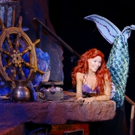 Come 'Under the Sea' with THE LITTLE MERMAID at Music Theatre Wichita