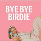 BYE BYE BIRDIE Starring Jason Alexander and Vanessa Williams Heads to BroadwayHD Photo