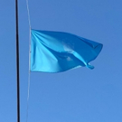 Partners and Events Announced Around Ai Weiwei's New Flag For Human Rights Photo