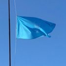 Partners and Events Announced Around Ai Weiwei's New Flag For Human Rights