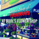 Site-Specific LITTLE SHOP OF HORRORS To Play at a Flower Shop Photo