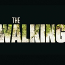 AMC Greenlights Third THE WALKING DEAD Spinoff Video