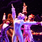 BWW Review: CATS is Still the Cat's Meow Video