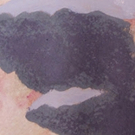 Waukesha State Bank Art Gallery presents Works from Waukesha South High School