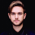 Listen To THE MIDDLE From Zedd, Maren Morris and Grey Photo