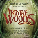 INTO THE WOODS Comes to Geneva with Gaos this May Photo