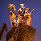 BWW Review: THE LION KING National Tour at Paramount has Drawn the Circle of Life Too Many Times