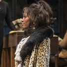 Photo Flash: First Look At NINA SIMONE: FOUR WOMEN At Northlight Photo