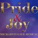 PRIDE & JOY, The Marvin Gaye Musical, Comes to The National Theatre Photo