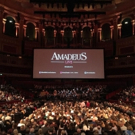 BWW Review: AMADEUS LIVE, Royal Albert Hall