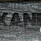 Announcing ALEXANDRIA By Vince Gatton