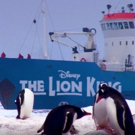 April 1 - THE LION KING Will Become First Musical to Play Seven Continents…
