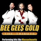 3,000 Miles Off-Broadway Productions Presents BEE GEES GOLD Photo