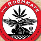 Citadel To Stage Chicago Suburban Premiere Of Jen Silverman's Comedy THE ROOMMATE Video