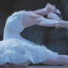 Los Angeles Ballet's Critically Acclaimed Production Of SWAN LAKE Begins 3/3 Video