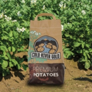 Green Thumb Farms Launches Cold River Gold, a Potato Variety that... Photo