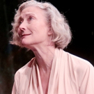 Photo Flash: Classical Theatre Company presents AN ENEMY OF THE PEOPLE, 2/9 through…