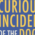A.W. Dreyfoos School Of The Arts Presents THE CURIOUS INCIDENT OF THE DOG IN THE NIGH Photo