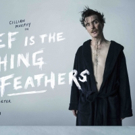 GRIEF IS THE THING WITH FEATHERS Comes to Galway and Dublin Photo