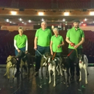Rescue Greyhounds To Grace The Stage At The Opera House Manchester Photo