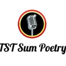 Towne Street Theatre's TST Summer Series Presents Nights Of Sum Poetry Video