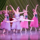 BWW Review: After 10 Years, Nashville Ballet's NASHVILLE'S NUTCRACKER Dazzles and Delights