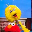 BWW Interview: How Brandon Wagner Captures the Larger Than Life Big Bird in SESAME ST Photo