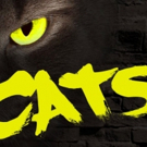 CATS Playing At Bruce Mason Centre 4/20!