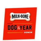The Streamy Awards to Partner with Milk-Bone to Present the 'Milk-Bone Dog of the Yea Video