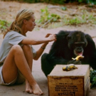 New Jane Goodall Documentary Opens At River St Theatre November 24