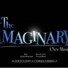 Broadway's Jeff Whiting Directs 29-Hour Reading Of Upcoming Musical THE IMAGINARY Video
