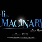 Broadway's Jeff Whiting Directs 29-Hour Reading Of Upcoming Musical THE IMAGINARY Photo