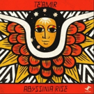 TE'AMIR Releases Second EP Of 2018, ABYSSINIA RISE Today On Tru Thoughts Photo