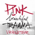 Pink Announces New North American Dates For BEAUTIFUL TRAUMA WORLD TOUR Photo
