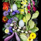 The Unique Art Of Ellen Hoverkamp Comes to The MAC Photo