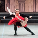 BWW Review:  A PERFUNCTORY DON QUIXOTE BY MIKHAILOVSKY BALLET at Segerstrom Center F Photo