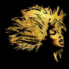 West End Production of TINA to Hold Open Auditions for Young Tina Turner Photo